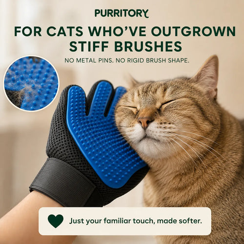 TenderGloves - Less struggle. More comfort. Peaceful golden years for your senior cat. (Includes Both Hands)