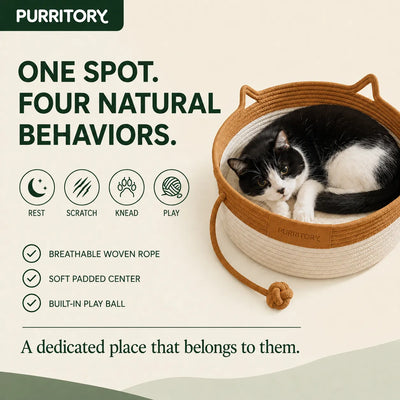 Territory Nest