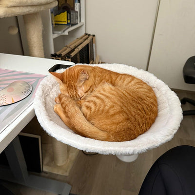 Desk-Mounted Cat Bed | Clamp-On Hammock, Faux Fur