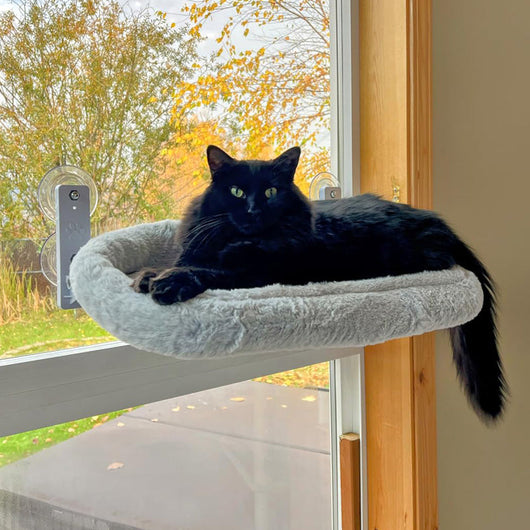 Cordless Cat Window Perch | Suction Cup Hammock