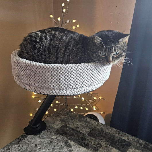 360° Rotating Cat Desk Bed | Metal Bracket, 3 Colours