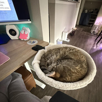 Desk-Mounted Cat Bed | Clamp-On Hammock, Faux Fur