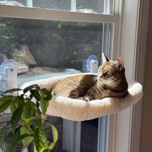 Cordless Cat Window Perch | Suction Cup Hammock