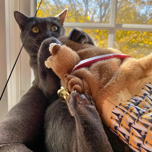 Cat Wrestling Glove | Plush Mouse Puppet Toy
