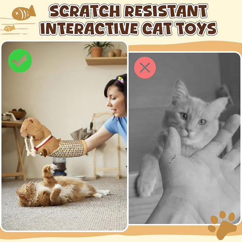 Cat Wrestling Glove | Plush Mouse Puppet Toy