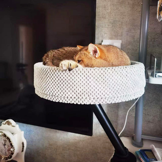 360° Rotating Cat Desk Bed | Metal Bracket, 3 Colours