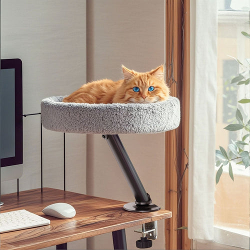 360° Rotating Cat Desk Bed | Metal Bracket, 3 Colours