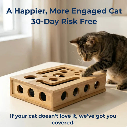 Cat Nail Filing Box | Wood Puzzle, No Clippers