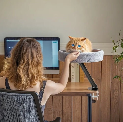 360° Rotating Cat Desk Bed | Metal Bracket, 3 Colours