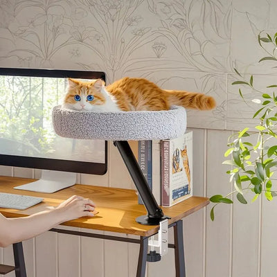 360° Rotating Cat Desk Bed | Metal Bracket, 3 Colours
