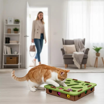 Cat Puzzle Box | Scratch Pad with Raised Nail Files