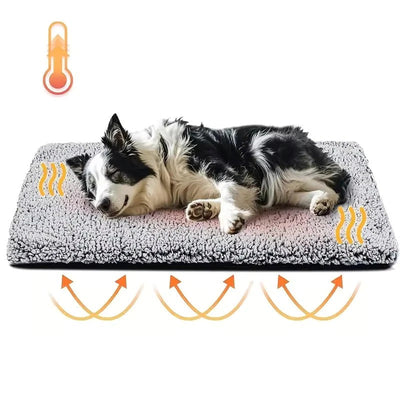 Self-Warming Pet Pad | No Electricity, 5 Sizes