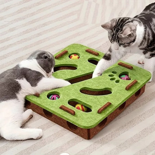 Cat Puzzle Box | Scratch Pad with Raised Nail Files